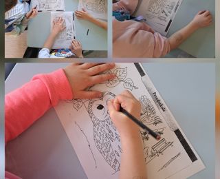 O spotkaniu o sowach dla dzieci